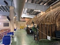 H2Oasis Indoor Waterpark photo 6