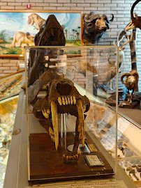 Heritage of the Americas Museum photo 6