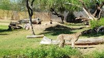Phoenix Zoo photo 2