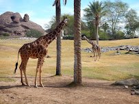 Phoenix Zoo photo 3