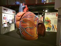 Museum of Science & Technology photo 4