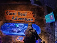 Museum of Science & Technology photo 5