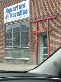 Aquarium Paradise