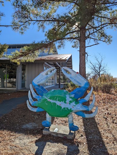 North Carolina Estuarium photo 6