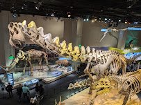 Perot Museum of Nature and Science photo 3