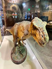 Perot Museum of Nature and Science photo 4