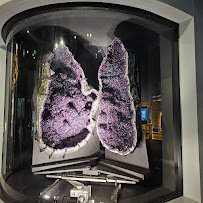 Perot Museum of Nature and Science photo 6