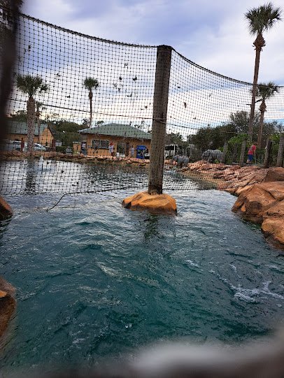 Family Fun Mini Golf Course photo 6
