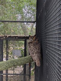 San Dimas Canyon Nature Center photo 4