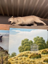 San Dimas Canyon Nature Center photo 5