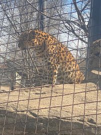 Primate Canopy Trails photo 3