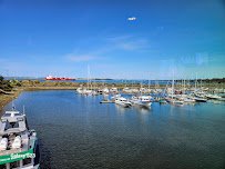 Charleston Marine Life Center photo 4