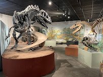BYU Museum of Paleontology
