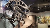 BYU Museum of Paleontology photo 2