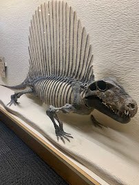 BYU Museum of Paleontology photo 5