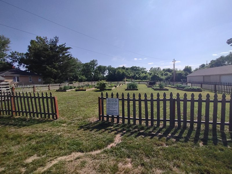 Bicentennial Park Splash Pad photo 6