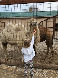 Wild Acres Ranch photo 4