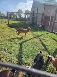 Wild Acres Ranch photo 5