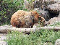 Rocky Shores at Hogle Zoo photo 6
