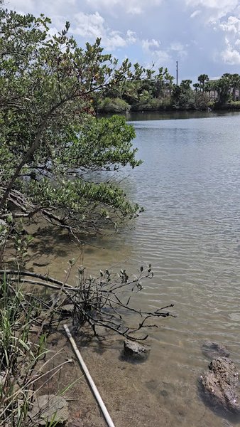 Marine Discovery Center photo 2