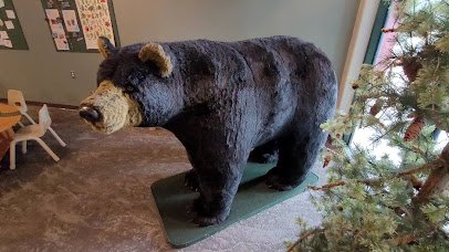 Big Bear Discovery Center photo 2