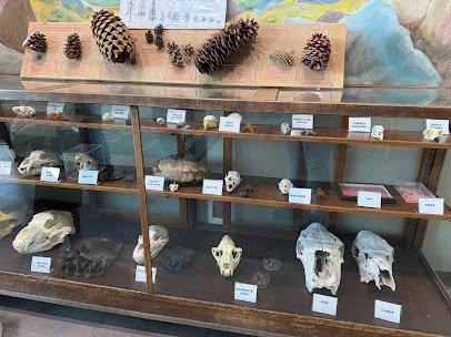 Big Bear Discovery Center photo 3