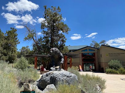 Big Bear Discovery Center photo 4