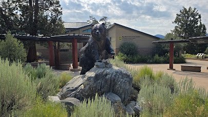 Big Bear Discovery Center photo 5