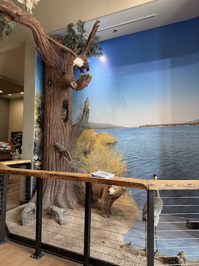 Big Bear Discovery Center photo 6