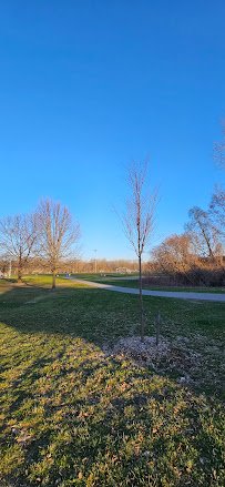 Roller Hockey Rinks | Borden Park photo 6