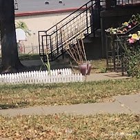 Tullwater Park photo 3