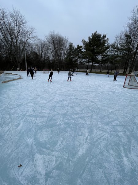 Mickey's Ice Arena photo 4