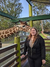 Six Flags Discovery Kingdom photo 5