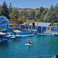 Six Flags Discovery Kingdom photo 6