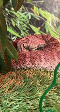 Little Ray's Nature Center photo 2