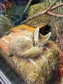 Little Ray's Nature Center photo 3