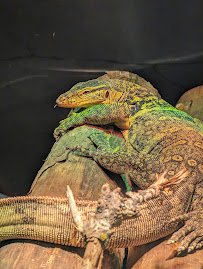 Little Ray's Nature Center photo 4