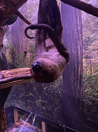 Little Ray's Nature Center photo 5