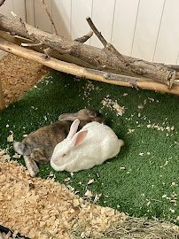 Little Ray's Nature Center photo 6