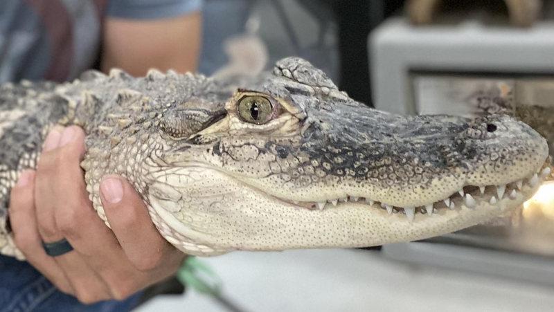 Twin Falls Zoological Center