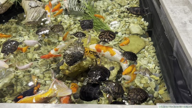 Twin Falls Zoological Center photo 2