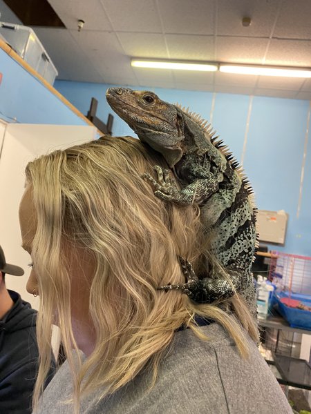 Twin Falls Zoological Center photo 3