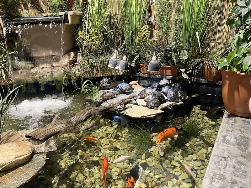 Twin Falls Zoological Center photo 4