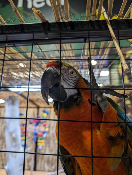 Twin Falls Zoological Center photo 6