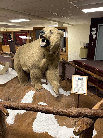 Ralph Foster Museum photo 3