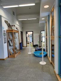 Deane Dana Nature Center photo 6