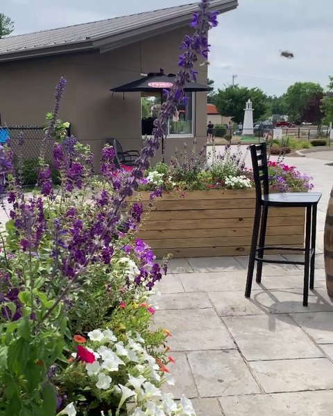 Starland Sportsplex & Fun Park - Hanover’s Premier Sports, Events & Entertainment Venue photo 2