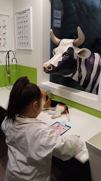 Chico Children's Museum photo 4