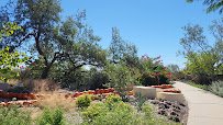 San Antonio Botanical Garden photo 2