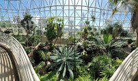 San Antonio Botanical Garden photo 3